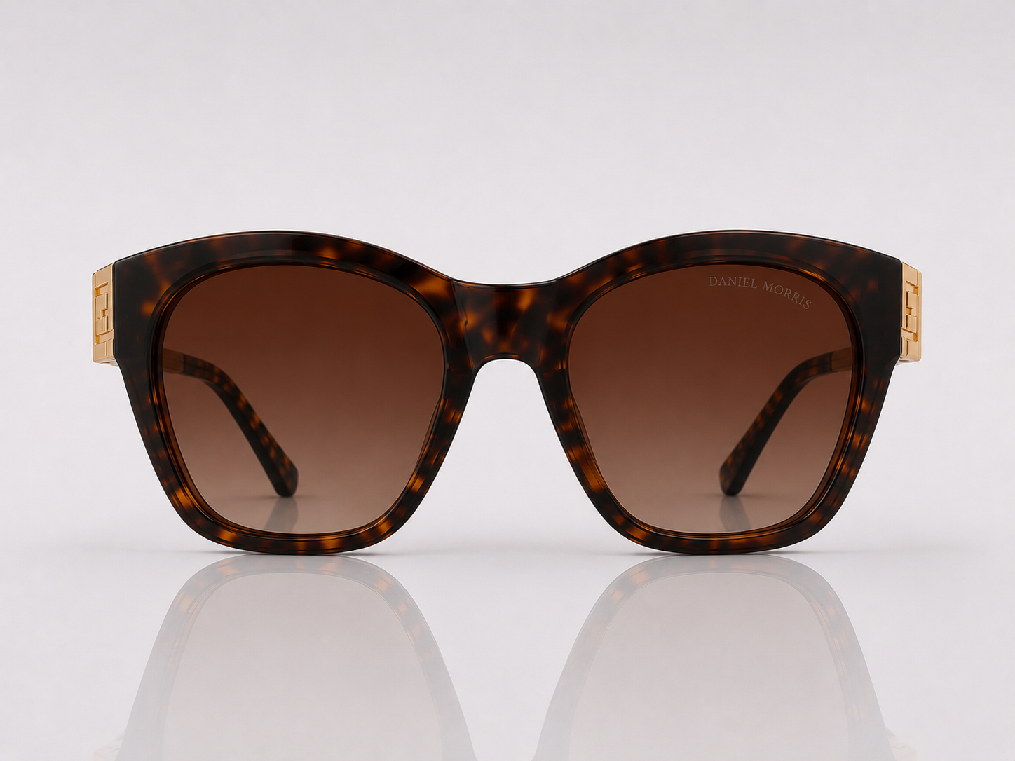 Tortoise Noir